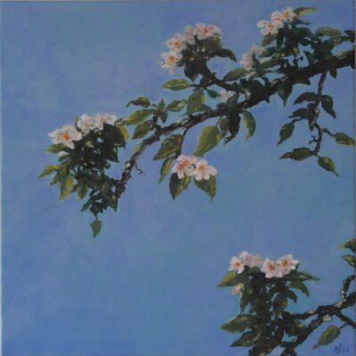 Apfelblüte (nach van Gogh)