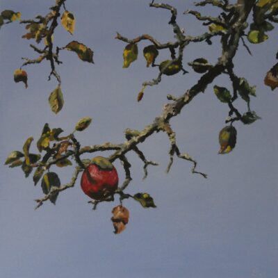 Letzter Apfel
